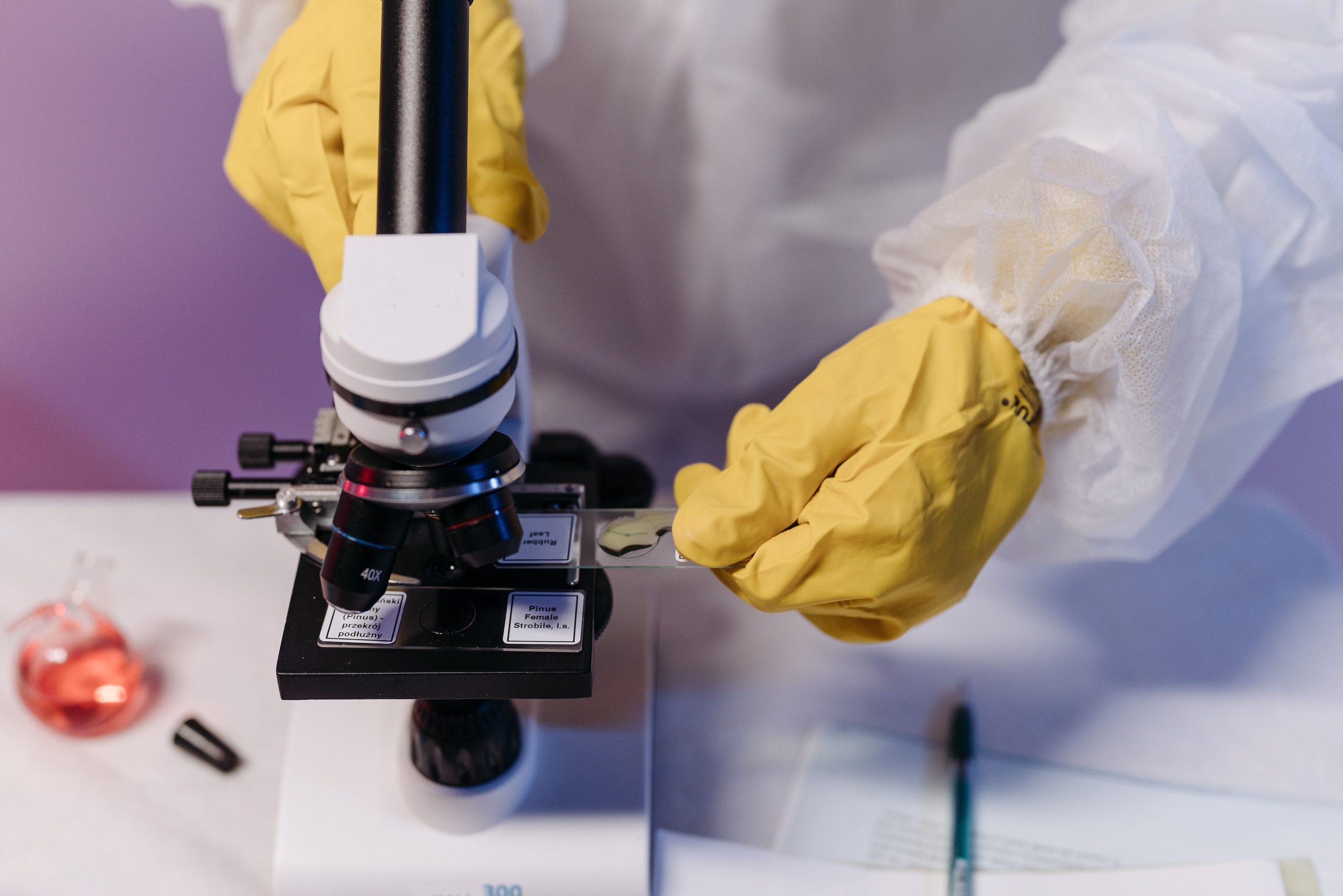 Chercheur examine des échantillons au microscope en laboratoire